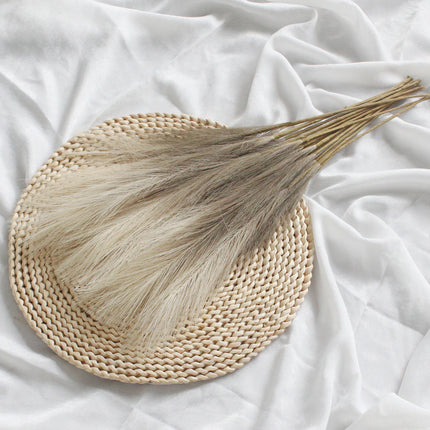 Peekaboo Studio 50cm Double Fork Pampas Artificial Flower - Realistic