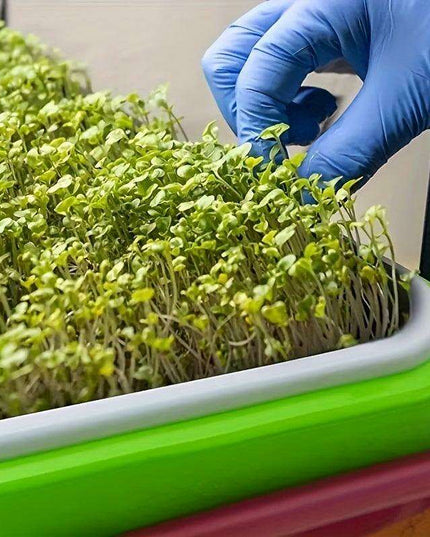 Soilless Hydroponic Seedling Germination Trays - 5-Pack for Indoor & Outdoor Cultivation