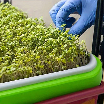 5-Pack Hydroponic Seed Germination Trays for Indoor & Outdoor Plant Growth (Lid-Free)