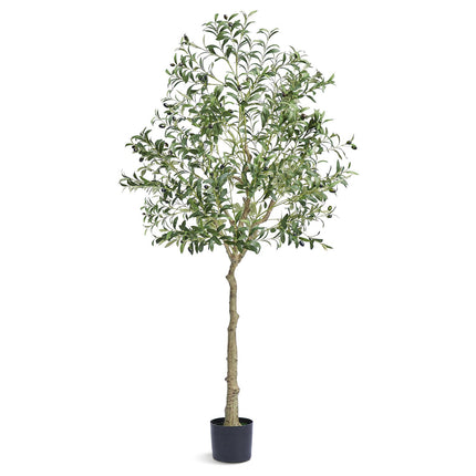 Peekaboo Studio 6FT Faux Olive Tree - Lifelike, Low-Maintenance Decor