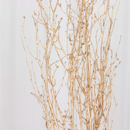 AliKopy 6-Pack 46" Metallic Gold Birch Branches - Decorative Twigs for