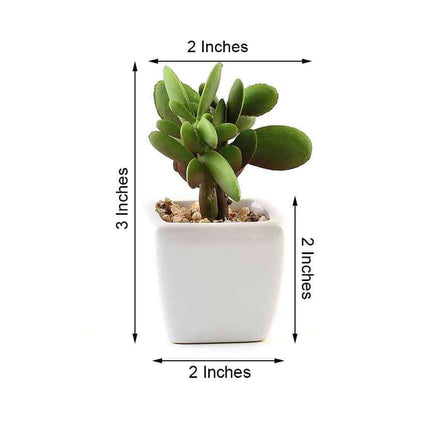 AliKopy 3-Pack Mini Jade Artificial Succulents - Lifelike Ceramic Pots