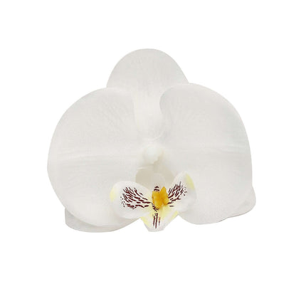 AliKopy 20 Silk White Orchid Flower Heads - 4" for DIY Decor & Corsage