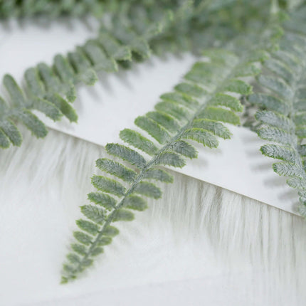AliKopy 2 Stems Frosted Green Boston Fern - Lifelike Indoor Decor