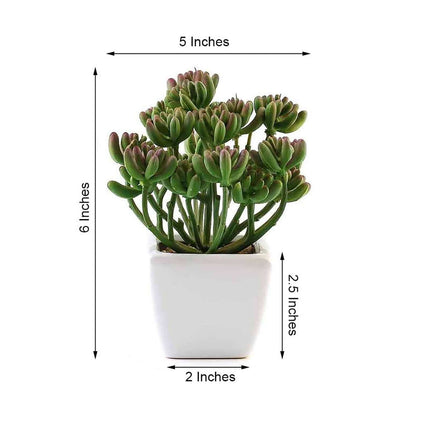 AliKopy 3-Pack Stonecrop Artificial Succulents - Lifelike Decor, 7