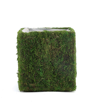 AliKopy 4-Pack 6" Square Planter Boxes with Green Preserved Moss Linin