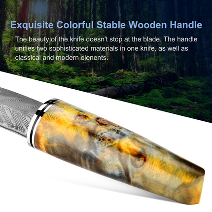 3.5 Inch Damascus Steel Fruit Hunting Knife Stabilized Wood Handle