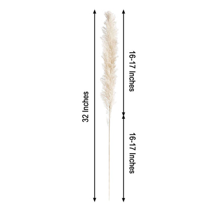 AliKopy 6 Stems Dried Pampas Grass - Off White, 32" for Boho Decor