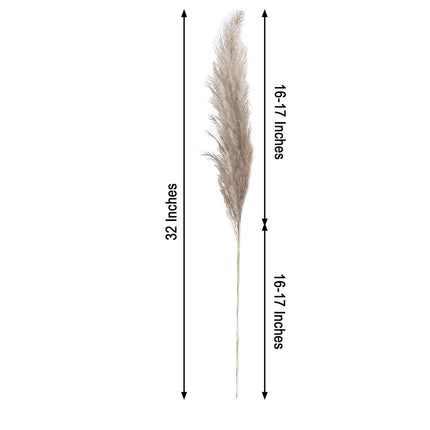 AliKopy 6 Stems Natural Dried Pampas Grass - 32" Boho Chic Decor