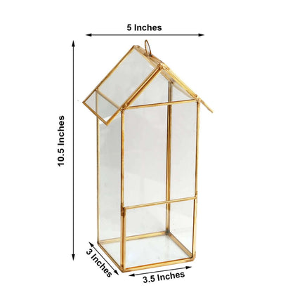 AliKopy Glass Terrarium Hanging Lantern - Gold Metal Design, 11" for A