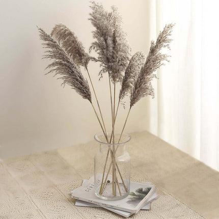 AliKopy 6 Stems Natural Dried Pampas Grass - 32" Boho Chic Decor