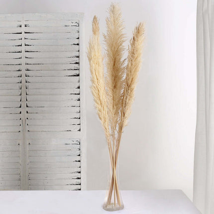 AliKopy 6 Stems Natural Dried Pampas Grass - 49" Tall Boho Decor