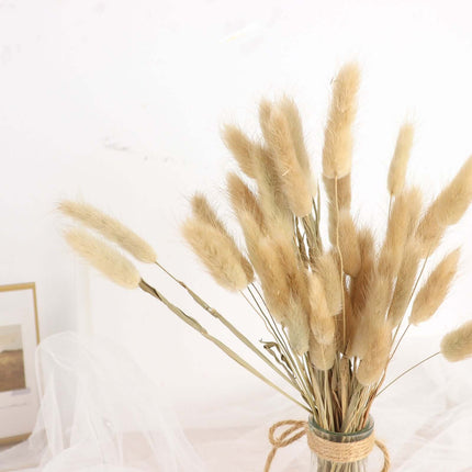 AliKopy 50-Pack Dried Bunny Tail Grass - Rustic 15" Decorative Stems