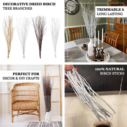AliKopy 6-Pack 46" Natural Birch Branches - Versatile Decorative Stick