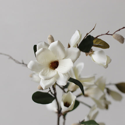 Peekaboo Studio Seven Head Velvet Magnolia Single Branch - Realistic T