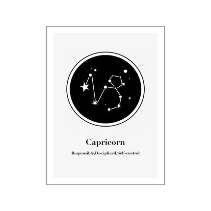 12 Constellation Canvas Art Print Mural Poster