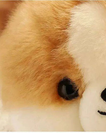 Charming Kawaii Chow-Pom-Corgi Mix Plush Pet Doll