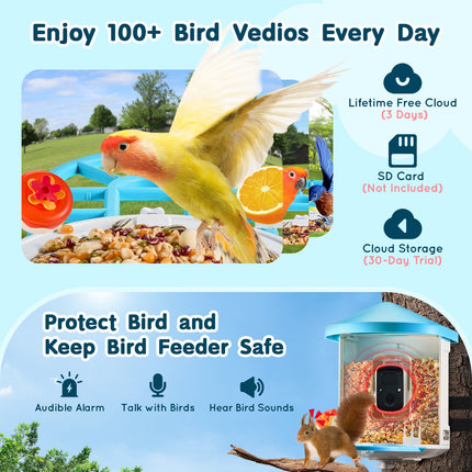 Peekaboo Studio VEVOR Smart Bird Feeder with 2K HD Camera & AI ID