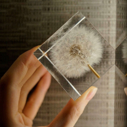 Dandelion Resin Cube with Wooden Base & USB Charger