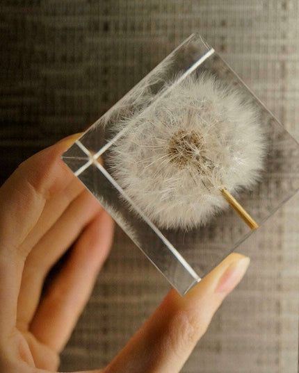 Dandelion Resin Cube with Wooden Base & USB Charger
