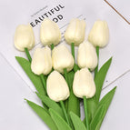 Milk white
