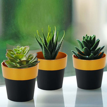 AliKopy 3-Pack Small Black Flower Pots with Gold Rim - Durable Plastic