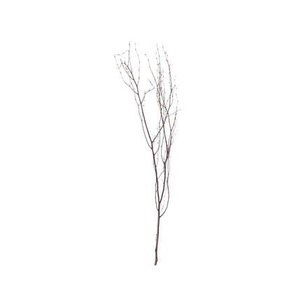 AliKopy 6-Pack 46" Natural Birch Branches - Versatile Decorative Stick