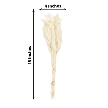 AliKopy 50-Pack Dried Bunny Tail Grass - Natural White, 15" Tall, Farm