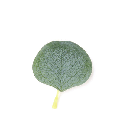 AliKopy 200 Pcs Frosted Eucalyptus Leaves - Lifelike Faux Greenery Dec