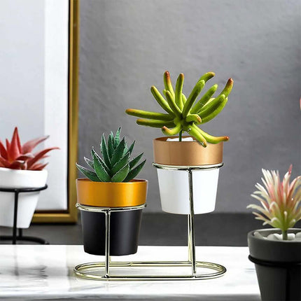 AliKopy 3-Pack Small White Flower Pots with Gold Rim - Decorative 3" P