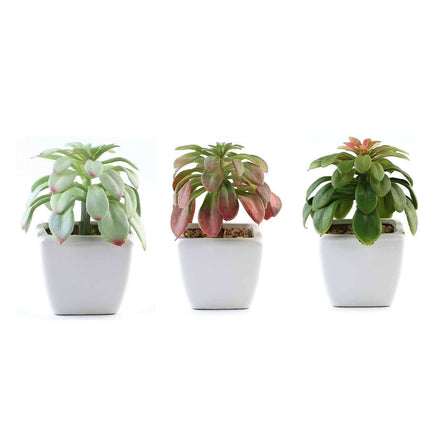 AliKopy 3-Pack Lifelike Artificial Succulents in Ceramic Pots - 5