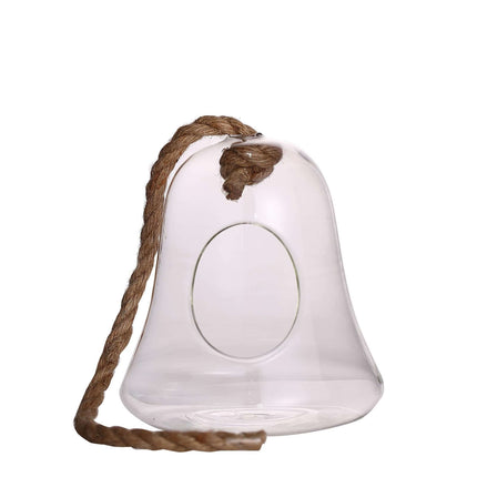 AliKopy Glass Terrarium - 9" Hanging Bell Design for Air Plants
