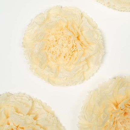 AliKopy Set of 6 Ivory Cream Giant 3D Paper Flowers - Wall Decor, 12"-