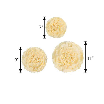 AliKopy Set of 6 Ivory Cream 3D Paper Carnation Flowers - Wall Decor