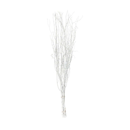 AliKopy 6-Pack 46" Natural Birch Branches - Decorative Twigs for Cente