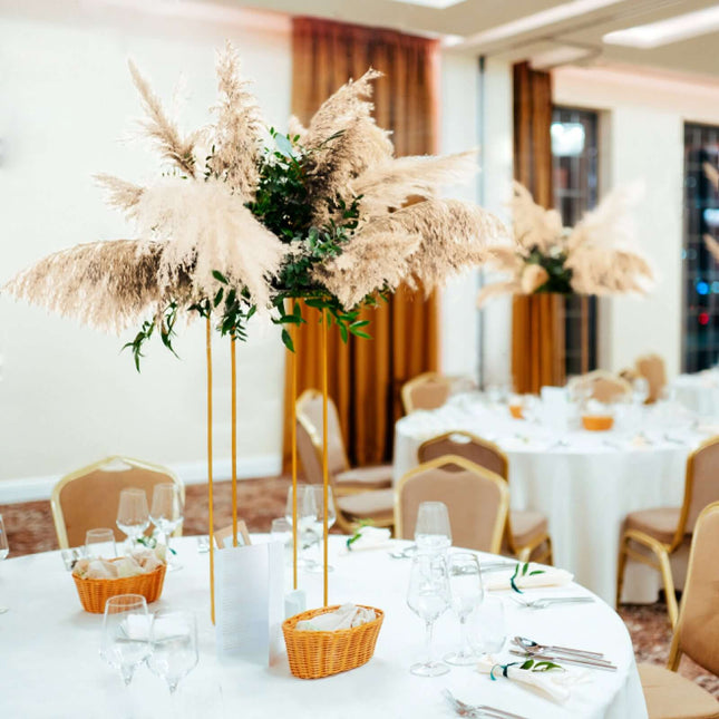 AliKopy 6 Stems Natural Dried Pampas Grass - 49" Tall Boho Decor