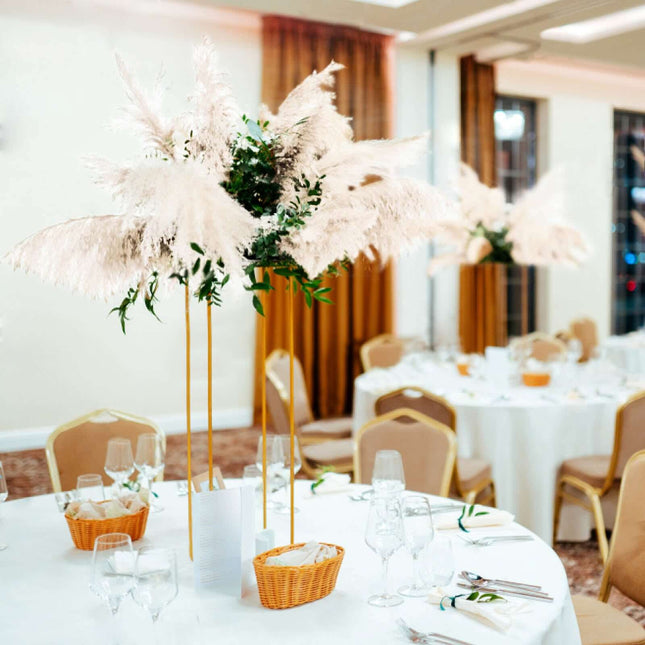 AliKopy 6 Stems Dried Pampas Grass - Off White, 32" for Boho Decor