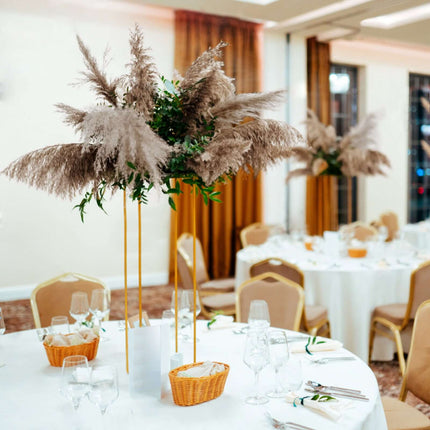 AliKopy 6 Stems Natural Dried Pampas Grass - 32" Boho Chic Decor