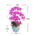 Purple Latex Orchid Display in Ceramic Pot for Elegant Home Decor