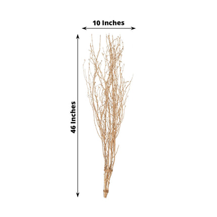 AliKopy 6-Pack 46" Metallic Gold Birch Branches - Decorative Twigs for