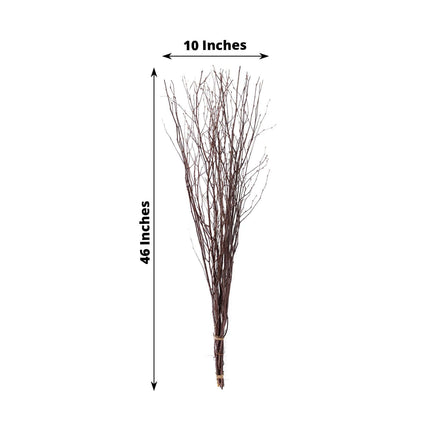 AliKopy 6-Pack 46" Natural Birch Branches - Versatile Decorative Stick
