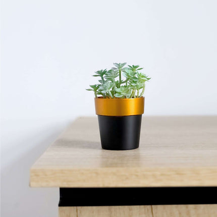 AliKopy 3-Pack Small Black Flower Pots with Gold Rim - Durable Plastic