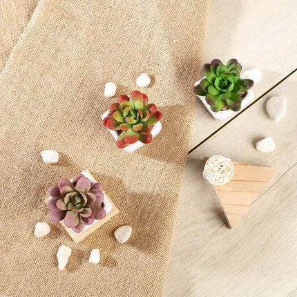 AliKopy 3-Pack Echeveria Elegans Faux Succulents in Ceramic Pots - Lif