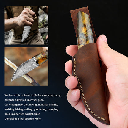 3.5 Inch Damascus Steel Fruit Hunting Knife Stabilized Wood Handle