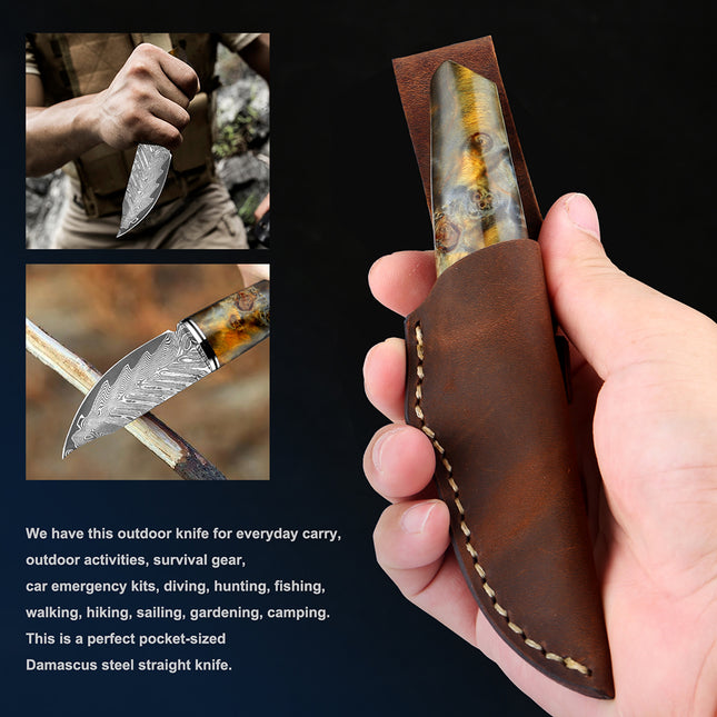 3.5 Inch Damascus Steel Fruit Hunting Knife Stabilized Wood Handle