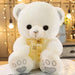 Super Soft Teddy Bear Plush Toy - Perfect Birthday Surprise for Kids