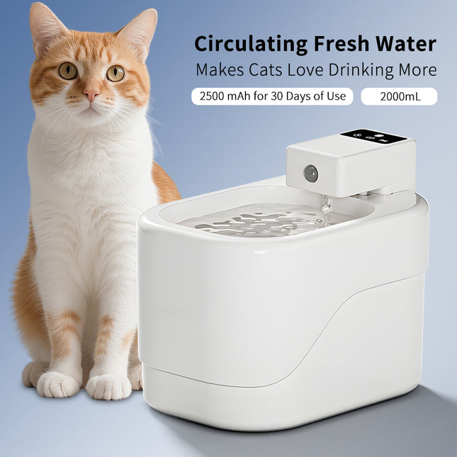 Peekaboo Studio Intelligent Sensor Pet Water Fountain, 2000ML, Ultra Q