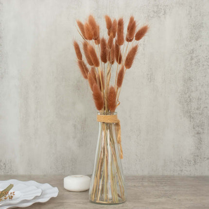 AliKopy 50-Pack Dried Bunny Tail Grass - 15" for Floral Displays & Dec