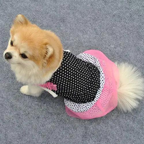 Fashion Puppy Dog Pet Princess Beautiful Dot Yarn Elastic Skirt Dress Clothes