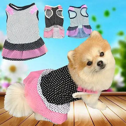 Royal Dotted Yarn Tutu Dress for Pets with Multilayered Charm